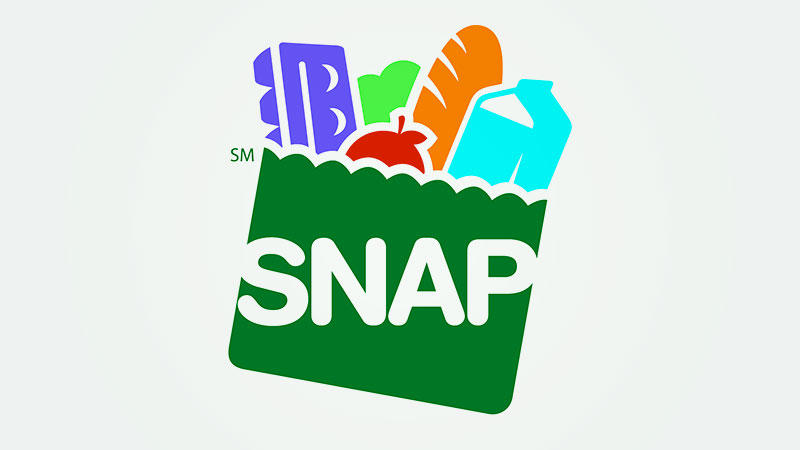 Overview of New York's Supplemental Nutrition Assistance Program (SNAP)